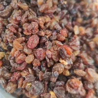 کشمش آفتابی بیدانه|خوردنی و آشامیدنی|بجنورد, |دیوار