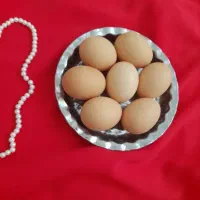 تخم مرغ محلی درشت و تازه