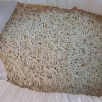 برنج طارم هاشمی فوق اعلای مازندران|خوردنی و آشامیدنی|کرج, کرج نو|دیوار