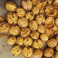 گردو درجه یک پوست کاغذی کهمان الشتر