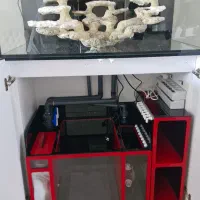 ساخت و نصب آکواریوم های حرفه ای