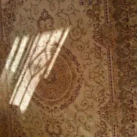 فرش ۶ متری ۱۲متری ۲متری|فرش|قیدار, |دیوار