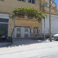 چوب داربند انگور وداربست وچوبفروشی|عمده‌فروشی|یزد, |دیوار