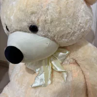 عروسک|اسباب‌‌بازی|تبریز, |دیوار