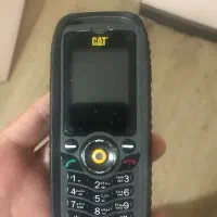 Cat b25