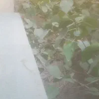 اجاره-260-فلت-قراداد-پنج-ساله-با-مناسب-باشگاه-و