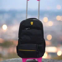 چرخ دستی کوله پشتی