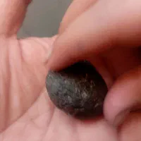 شهاب سنگ فروشی|جواهرات|نرماشیر, |دیوار