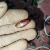 مهره با اصالت