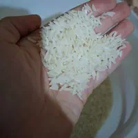 برنج هاشمی سالم