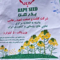 بذر کلزا