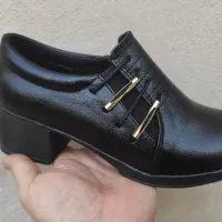 کفش لوتوس|کیف، کفش، کمربند|صومای برادوست, |دیوار