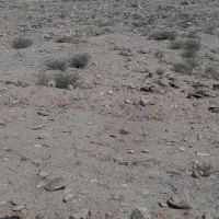 زمین باغی و سوله ۳۰۰ متر الی ۲۰۰۰ متر بوستان ۵