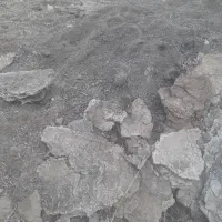 پهن و کود گوسفندی سه ساله