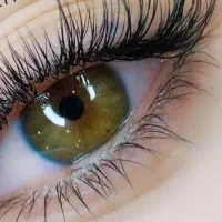 آف کاشت و اکستیشن مژه با بهترین قیمت|خدمات آرایشگری و زیبایی|شیراز, شیشه‌گری|دیوار