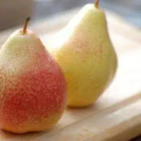 نهال گلابی فورل بصورت پیشفروش|خدمات باغبانی و درختکاری|نمین, |دیوار