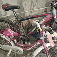 دوعدد دوچرخه ۱۶ ویوا و۲۶