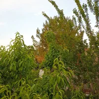 زمین داخل بافت با ویلا