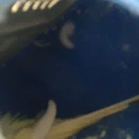 مرغ عشق فر|پرنده|سربیشه, |دیوار