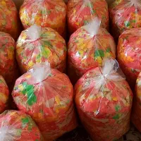 غذای ماهی قرمز پولکی