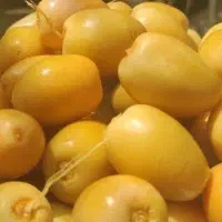 خارک برحی بزرگ و شیرین عمده