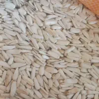 پسته و تخمه