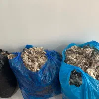 پشم گوسفند