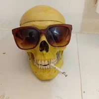 اسکلت پلاستیکی