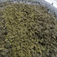 سبزی خورشتی اعلا|عمدهفروشی|جوانرود, |دیوار