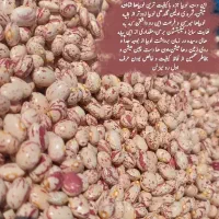 لوبیای دست چین سرحداقلید|خوردنی و آشامیدنی|سپیدان, |دیوار