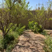 باغ حدودا ۴۰۰ متری|فروش زمین و ملک کلنگی|اصفهان, گورت|دیوار