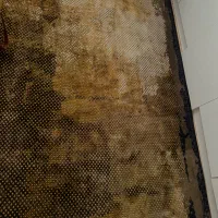 فرش ۶ متری|فرش|کرج, عظیمیه|دیوار