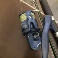 لنسر ماهیگیری نو