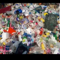 خرید ظایعات|عمده‌فروشی|تبریز, |دیوار