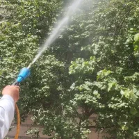 سمپاشی و باغبانی سم پاشی درختان آفت زده