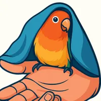 با نصب برنامه کارنت و زدن کد زیر 105هزار ببرید