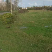 فروش زمین باغی و مسکونی|فروش زمین و ملک کلنگی|رشت, منظریه|دیوار