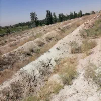 زمین باغ انگور آماده کاشت|فروش دفتر صنعتی، کشاورزی، تجاری|دلبران, |دیوار