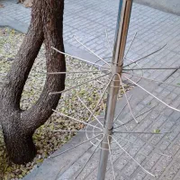 رگال شاخه ای در حد نو|فروشگاه و مغازه|بجنورد, |دیوار