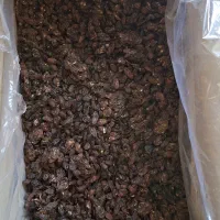 کشمش آفتابی آبگیری قیمت مناسب