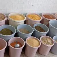 ارزانسرای دانه ( کوی لور ) جزئی/عمده