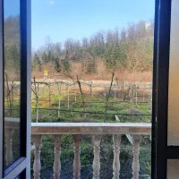 ویلا سوییت فول امکانات|اجارهٔ کوتاه‌مدت آپارتمان و سوئیت|تالش, جوکندان|دیوار