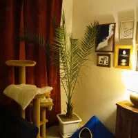 جای خواب پت|لوازم جانبی حیوانات|شاهین‌شهر, فردوسی|دیوار