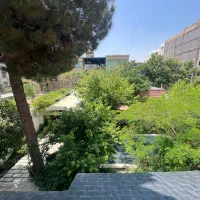 زوج سرایدار با ماشین