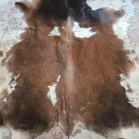 پوست گاو دباغی شده کاملا نو