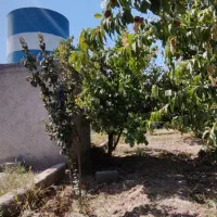 باغچه و باغ نزدیک محل امنیت بالا /متراژ متنوع|فروش زمین و ملک کلنگی|نسیم‌شهر, |دیوار