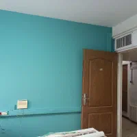 نقاش نقاشی بتونه گچ کارخرده کاری گچکاری تخریب|خدمات پیشه و مهارت|تهران, پونک|دیوار