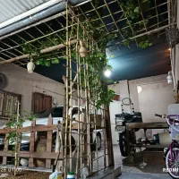 ۱۱۳متر.۱خوابه .شناژ داره.طبقه دوم سفت کاری شده.