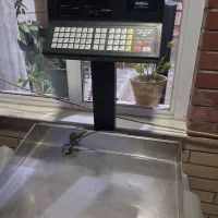 فروش ترازو دیجیتالی|فروشگاه و مغازه|ابریشم, |دیوار