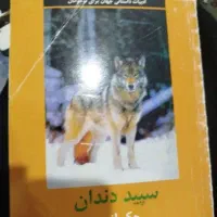 کتاب داستان های زیبا|کتاب و مجله آموزشی|شیراز, احمدآباد|دیوار